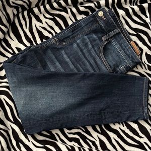 American Eagle Ne(x)t Level Stretch Highest Rise Jeggings